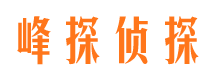 邵阳找人公司